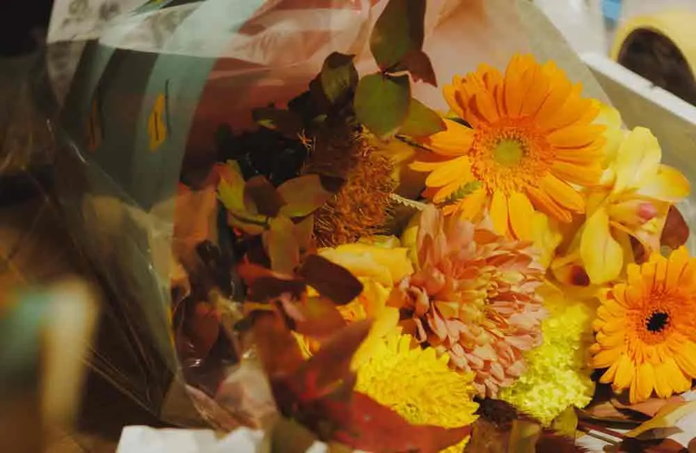 YAESU MUSIC STREET ~powered by Tokyo College of Music~