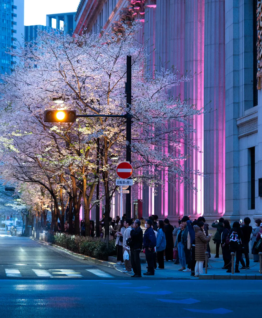 幻想的なライトアップ