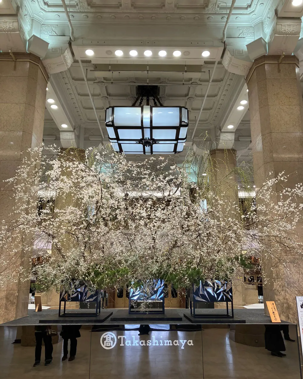 華のおもてなし